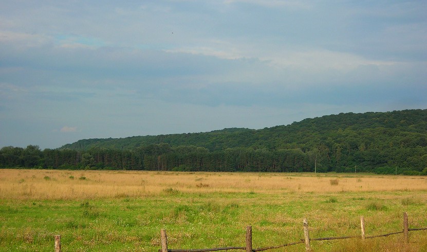 Мошногірський кряж